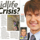 Illustration for article titled This Week in Tabloids: Angelina and Brads Bizarre Parenting Methods